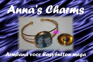 Armband voor MEGA Easybutton drukker GOUD